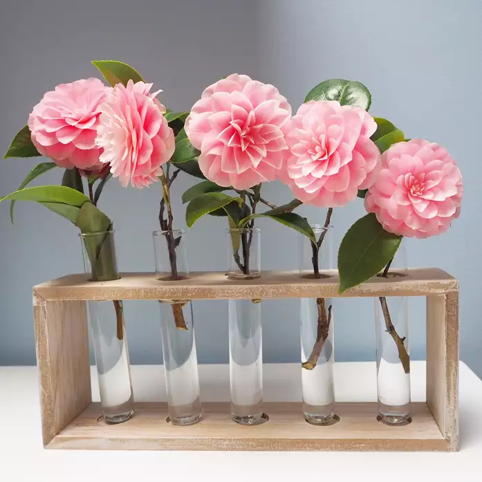 blog beautiful pink camellias 1