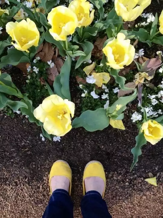 Yellow